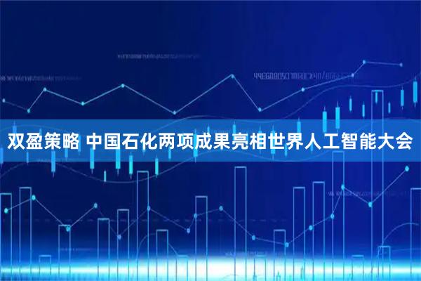 双盈策略 中国石化两项成果亮相世界人工智能大会